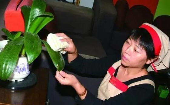 蓝冠官网平台, 蓝冠平台费用,