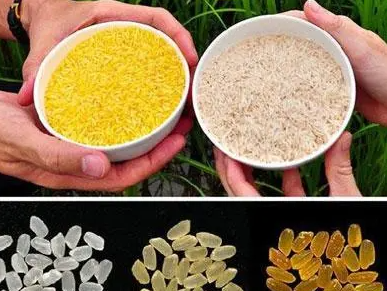 蓝冠登录中心, 蓝冠做什么的,